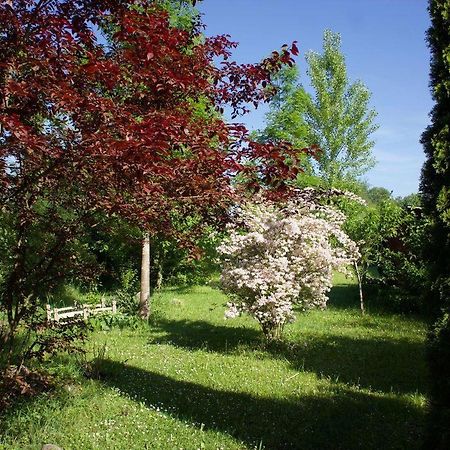 Uhldingen-Mühlhofen Ferienwohnung Brigid מראה חיצוני תמונה