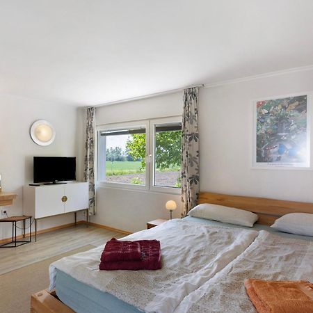 Uhldingen-Mühlhofen Ferienwohnung Brigid מראה חיצוני תמונה